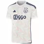 2023 2024 Ajax Mens Away Soccer Jersey Amsterdam Architecture