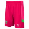 2023 2024 Burnley FC Mens Goalkeeper Third Soccer Shorts Pink