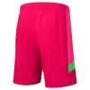 2023 2024 Burnley FC Mens Goalkeeper Third Soccer Shorts Pink