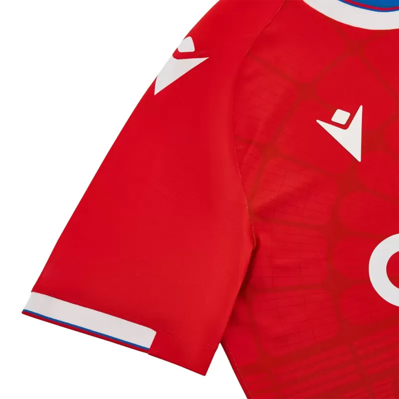 2023 2024 Crystal Palace Mens Home Soccer Jersey Red Blue Halves