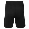 2023 2024 Inter Milan Mens Home Soccer Shorts Black Blue