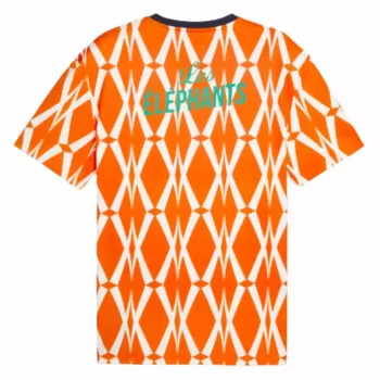 2023 2024 Ivory Coast Mens Ftblculture Soccer Jersey Orange 2023 2024 Ivory Coast Mens Ftblculture Soccer Jersey Orange
