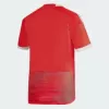 2023 2024 Peru Mens Away Soccer Jersey White Red Pinstripe 2023 2024 Peru Mens Away Soccer Jersey White Red Pinstripe