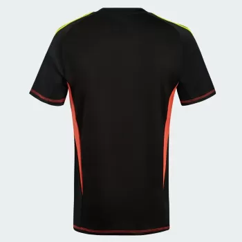 2024 2025 Argentina Mens Goalkeeper Soccer Jersey Professional