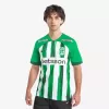 2024 2025 Atletico Nacional Mens Home Soccer Jersey Medellin Art Edition 2024 2025 Atletico Nacional Mens Home Soccer Jersey Medellin Art Edition
