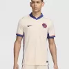 2024 2025 Chelsea Mens Away Authentic Soccer Jersey Player Version 2024 2025 Chelsea Mens Away Authentic Soccer Jersey Player Version