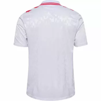 2024 2025 Denmark Mens Away Soccer Jersey White Foldable Collar 2024 2025 Denmark Mens Away Soccer Jersey White Foldable Collar