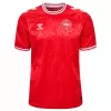 2024 2025 Denmark Mens Home Soccer Jersey Red Embossed Pattern 2024 2025 Denmark Mens Home Soccer Jersey Red Embossed Pattern