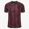 2024 2025 Denmark X Halo Mens Special Edition Soccer Jersey Port Royale