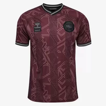 2024 2025 Denmark X Halo Mens Special Edition Soccer Jersey Port Royale