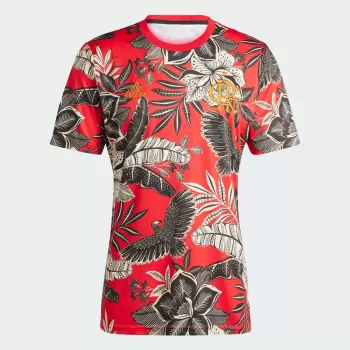2024 2025 Flamengo x Farm Mens Pre Match Soccer Jersey Special Edition