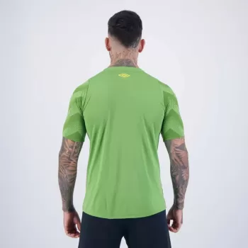 2024 2025 Fluminense Mens Goalkeeper Soccer Jersey Green