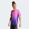 2024 2025 Germany Mens Away Authentic Soccer Jersey Player Version 2024 2025 Germany Mens Away Authentic Soccer Jersey Player Version