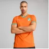 2024 2025 Ivory Coast Mens Authentic Home Soccer Jersey Orange