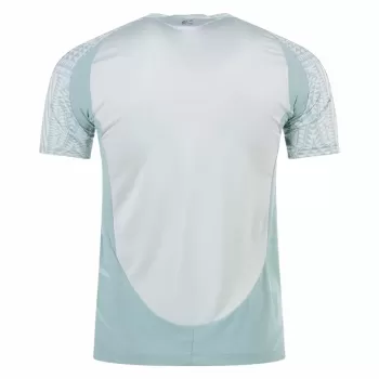 2024 2025 Mexico Mens Away Soccer Jersey Snake Scale Pattern