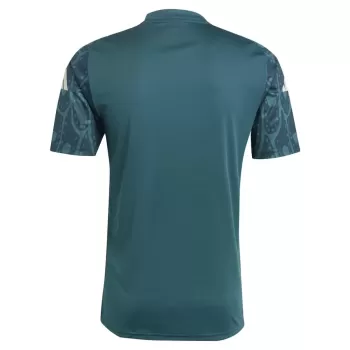 2024 2025 Mexico Mens Pre Match Soccer Jersey Training Kit