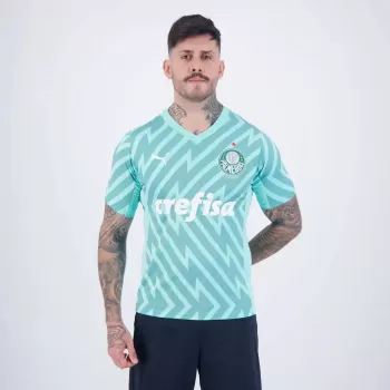 2024 2025 Palmeiras Mens Away Goalkeeper Soccer Jersey Green