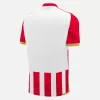 2024 2025 Red Star Belgrade Mens Home Soccer Jersey Red White Stars