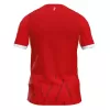 2024 2025 SC Freiburg Mens Home Soccer Jersey Stadium Struts