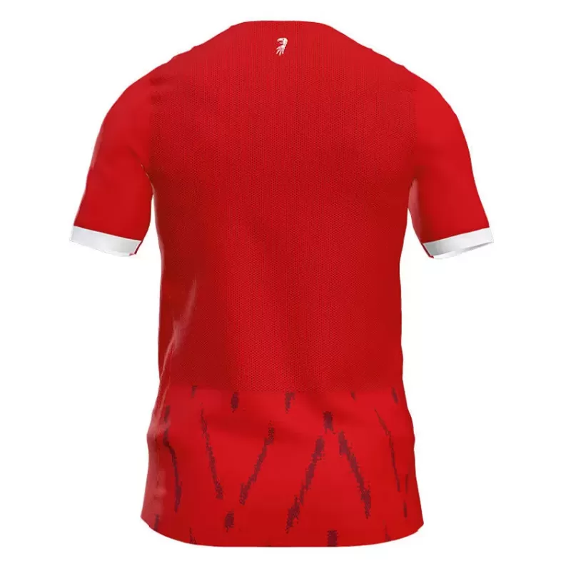 2024 2025 SC Freiburg Mens Home Soccer Jersey Stadium Struts