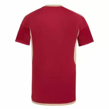 2024 2025 Venezuela Mens Home Soccer Jersey Vinotinto Red
