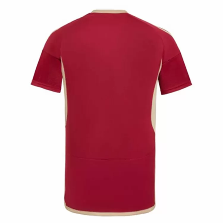 2024 2025 Venezuela Mens Home Soccer Jersey Vinotinto Red