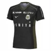 2024 Hokkaido Consadole Sapporo Mens Away Soccer Jersey Olive Khaki