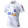 2024 Sanfrecce Hiroshima Mens Away Soccer Jersey Origami Crane