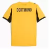 2025 2026 Borussia Dortmund Mens Cup Soccer Jersey 1966 Tribute 2025 2026 Borussia Dortmund Mens Cup Soccer Jersey 1966 Tribute