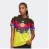2025 2026 Club America Womens Home Soccer Jersey Eagle Feather