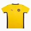2025 2026 Malaysia Mens Home Soccer Jersey Harimau Malaya Yellow