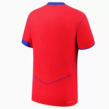 2025 2026 Paris Saint Germain Mens Third Soccer Jersey T90 Style