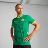 2025 2026 Senegal Mens Away Authentic Soccer Jersey Green Lion Art