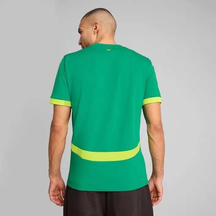 2025 2026 Senegal Mens Away Authentic Soccer Jersey Green Lion Art