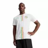 2025 2026 Senegal Mens Home Authentic Soccer Jersey White Teranga