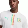 2025 2026 Senegal Mens Home Authentic Soccer Jersey White Teranga 2025 2026 Senegal Mens Home Authentic Soccer Jersey White Teranga