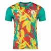2025 2026 Senegal Mens Pre Match Training Soccer Jersey