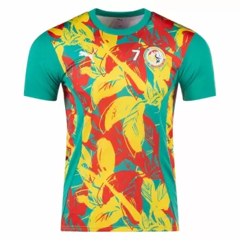 2025 2026 Senegal Mens Pre Match Training Soccer Jersey