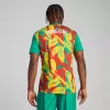 2025 2026 Senegal Mens Pre Match Training Soccer Jersey