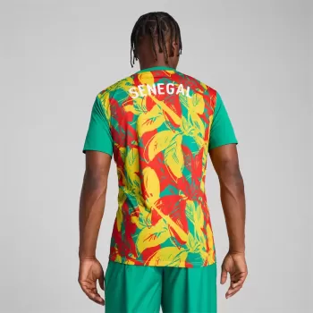 2025 2026 Senegal Mens Pre Match Training Soccer Jersey