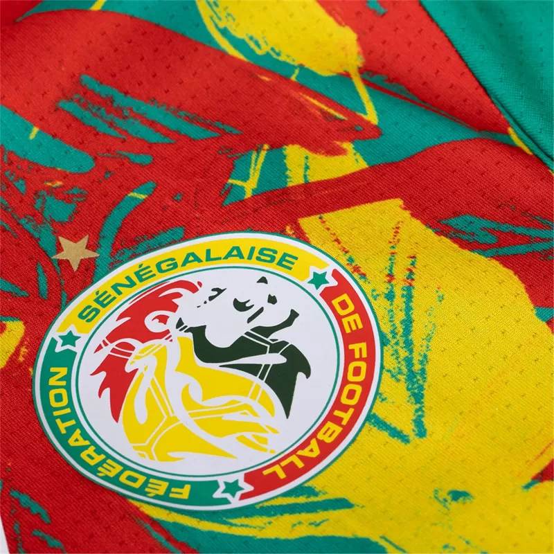 2025 2026 Senegal Mens Pre Match Training Soccer Jersey