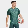 24-25 Algeria Mens Away Match Jersey Dark Green