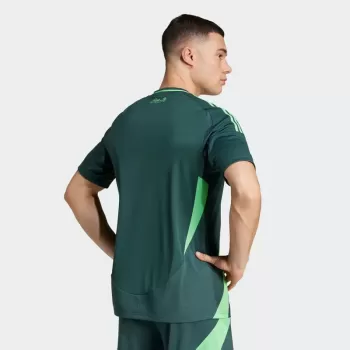 24-25 Algeria Mens Away Match Jersey Dark Green