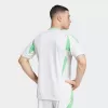 24-25 Algeria Mens Home Match Jersey Authentic Performance 24-25 Algeria Mens Home Match Jersey Authentic Performance