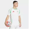 24-25 Algeria Mens Home Match Jersey Authentic Performance 24-25 Algeria Mens Home Match Jersey Authentic Performance