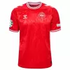 Euro 2024 Denmark Mens Home Soccer Jersey National Kit