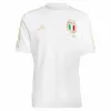 FIGC 125 Italy Mens Anniversary Soccer Jersey Limited Edition FIGC 125 Italy Mens Anniversary Soccer Jersey Limited Edition